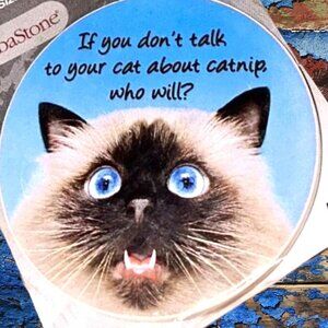 (2)PK NEW Cats “Talk About Catnip”ABSORBENT Auto Home Pet Coasters.